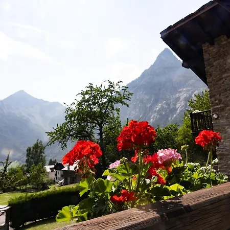 Appartement The Mountain View -