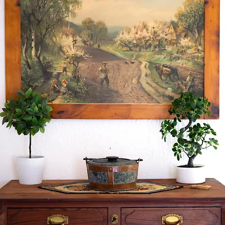 The Mountain View - Appartement