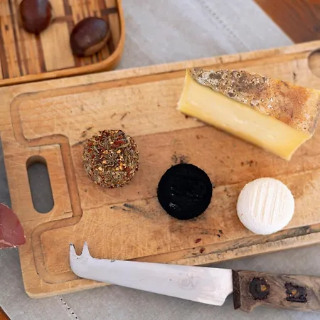 The Mountain View - Apartament Courmayeur