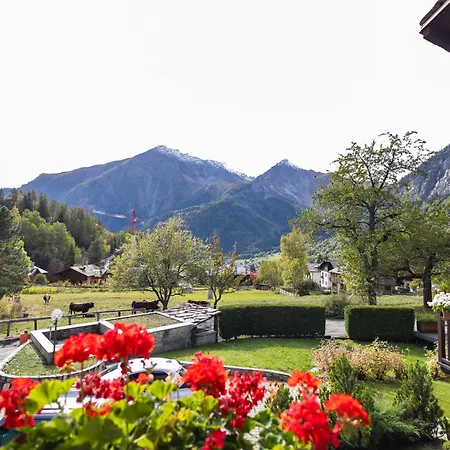 The Mountain View - *