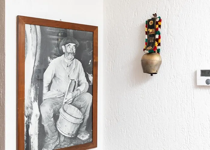 The Mountain View - * Courmayeur